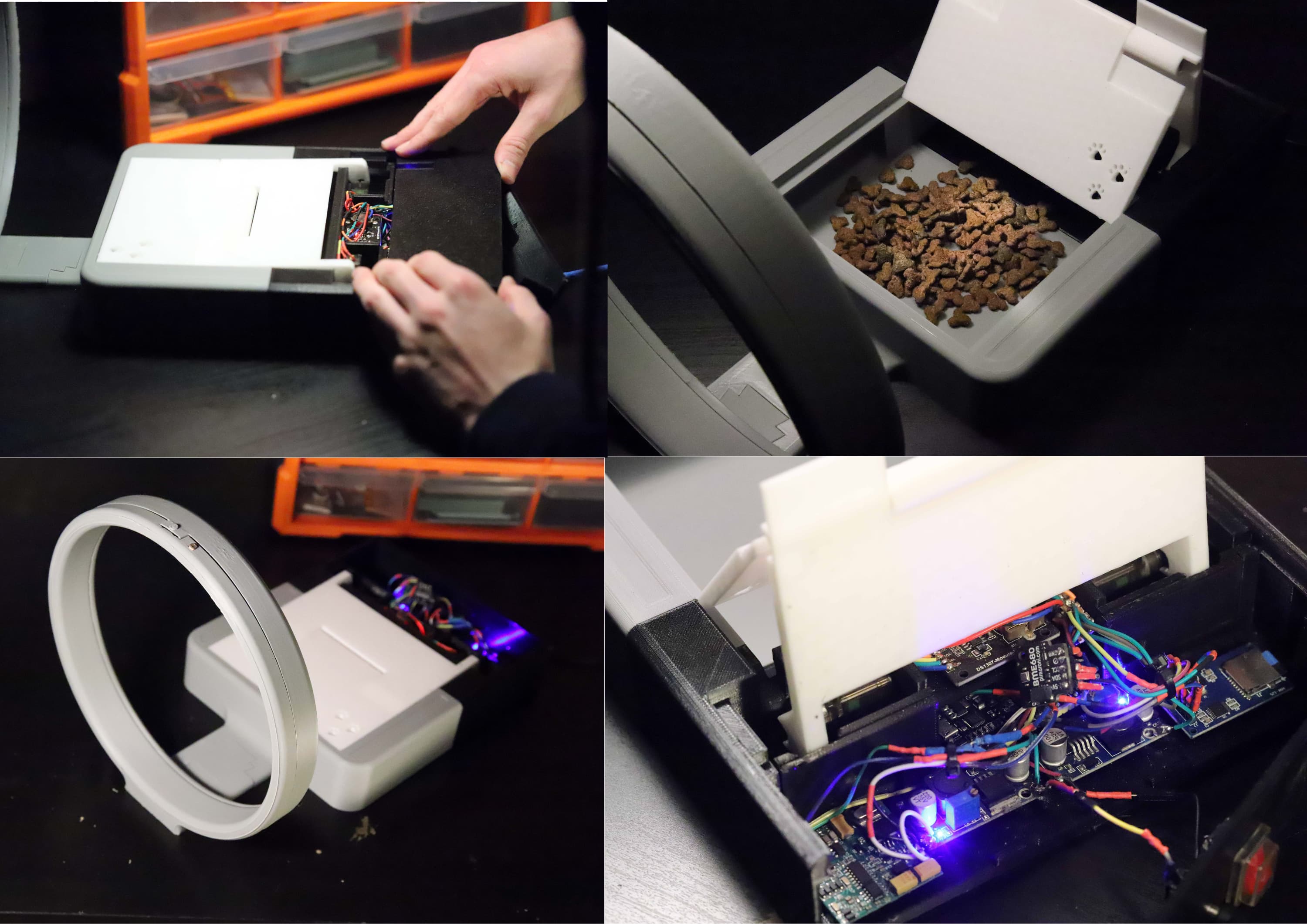 catFeeder summary photo